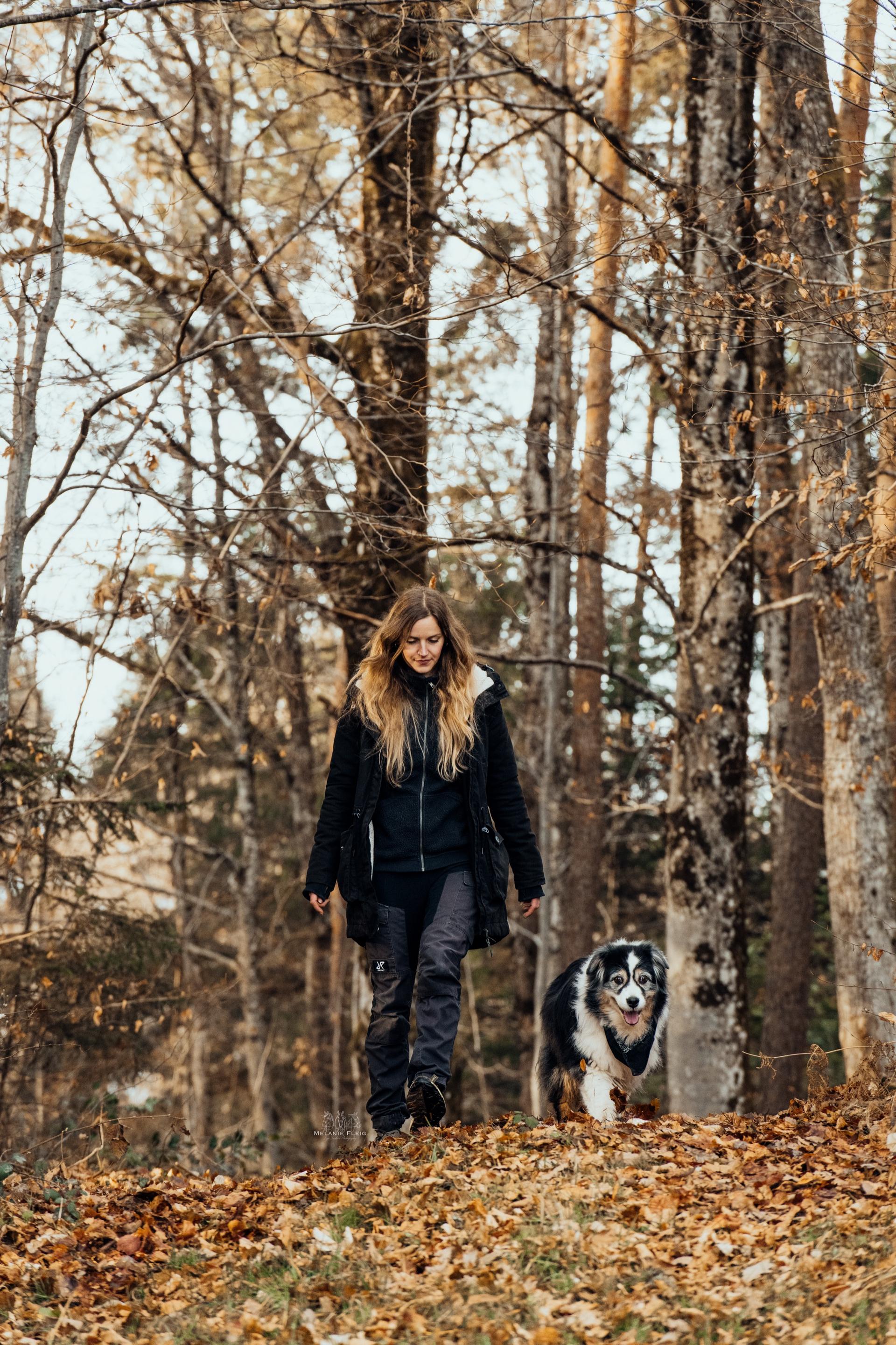 Spaziergang im Herbstwald