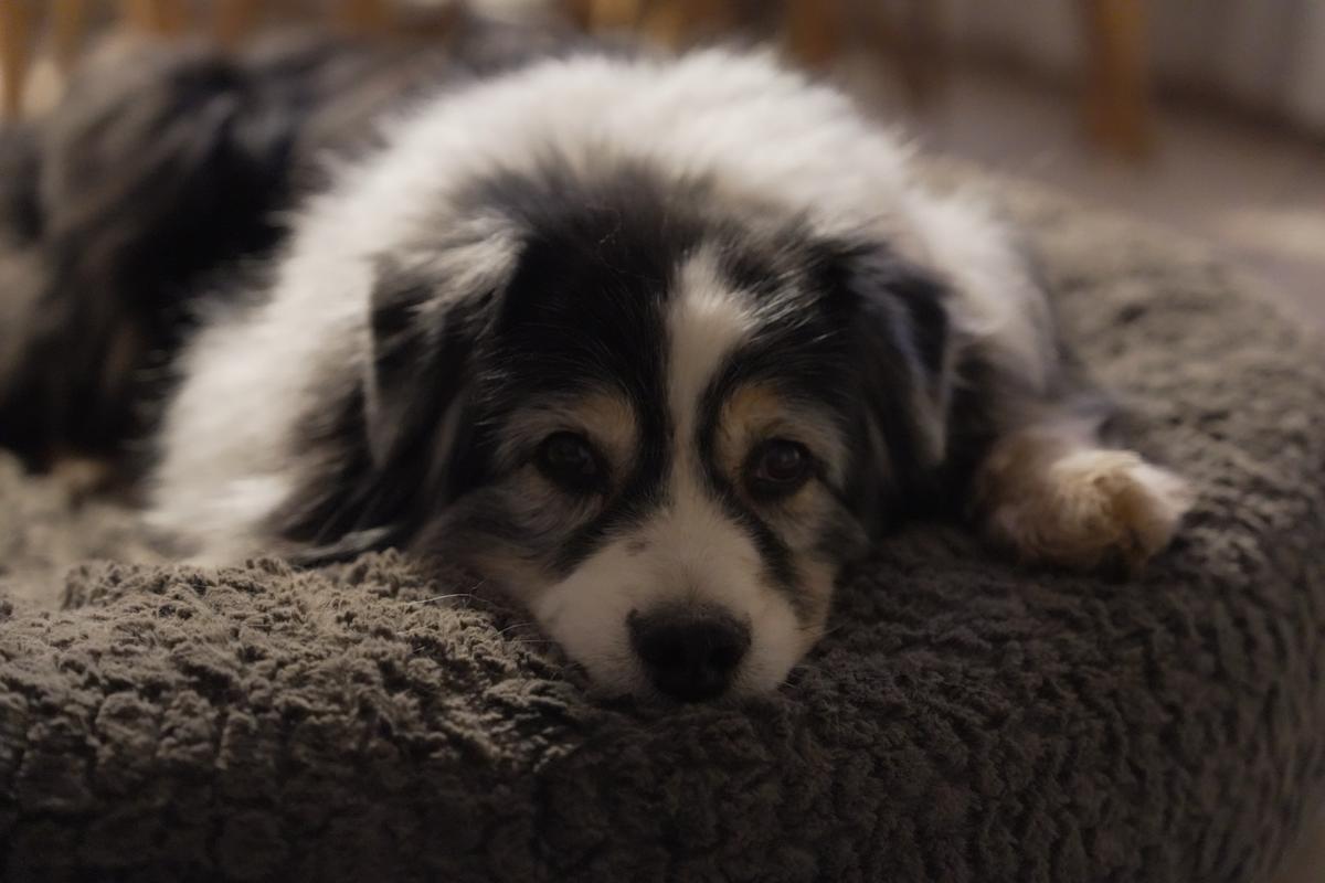 Stress & Angst verstehen