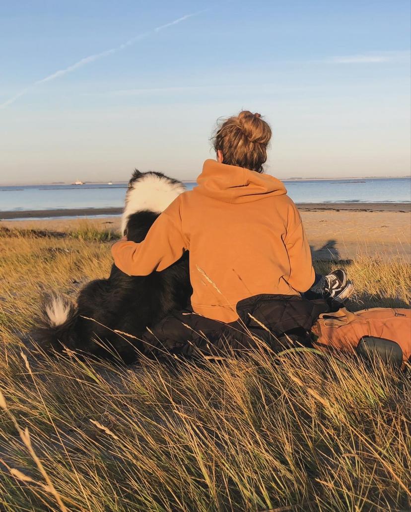 Gemeinsam am Strand bei Sonnenuntergang