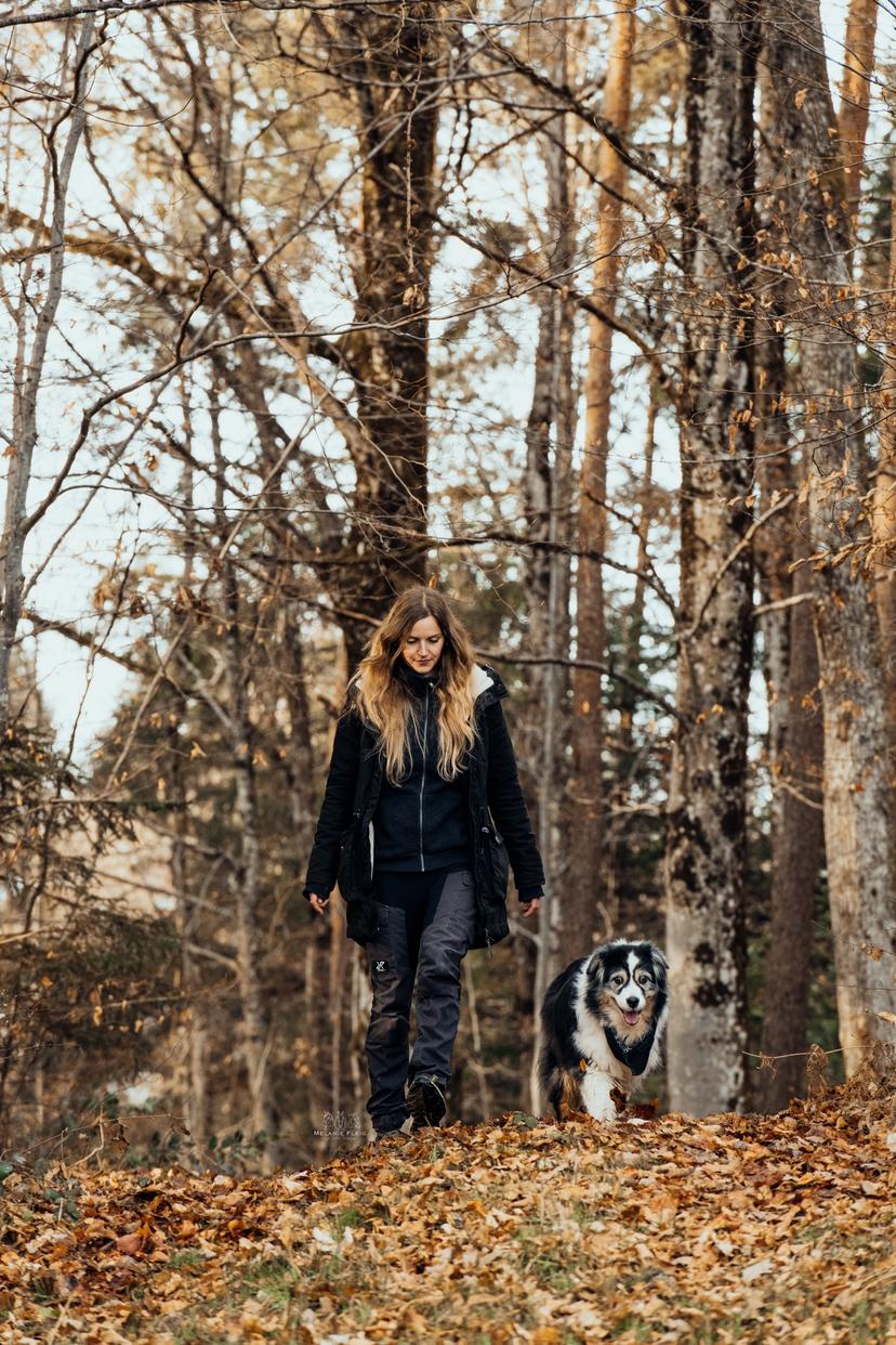 Spaziergang im Herbstwald